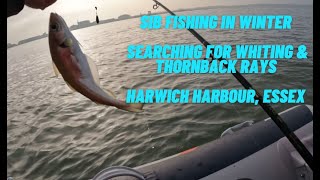 SIB Fishing  inshore winter fishing for Whiting and Thornback Rays Essex Coast Harwich UK [upl. by Arahsal82]