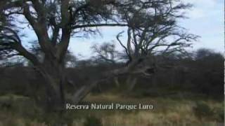 Documental  Reserva Natural Parque Luro [upl. by Samaria542]