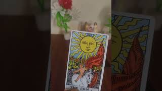 career yes No readingtarot viral youtubetwin reading❤ [upl. by Jodie]