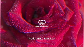 Ruža bez bodlja SHUHWELY RMX [upl. by Routh]