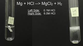 Magnesium in Hydrochloric Acid [upl. by Candace]