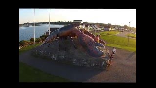 Shediac Lobster [upl. by Ahsitil]