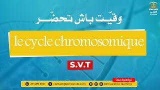 2ème Sciences  SVT  Le Cycle Chromosomique  Exercice Corrigé et Explications [upl. by Haven159]