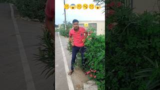 ଭାଙ୍ଗି ଦେଲେ ମ ଘର 🥺🤣🥺shorts shortvideo viralvideo comedy funny youtubeshorts mrbhagabatasy [upl. by Auqined859]