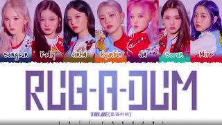 TRIBE 트라이비 – RUBADUM Lyrics Color CodedHanRomEng [upl. by Atilef]