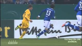 Schalke 04  Hoffenheim 13 Alle Tore amp Highlights DFB Pokal 031213 [upl. by Erret280]