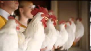 Amazing Foster Farms chickens sing Dont You Want Me [upl. by Dody]