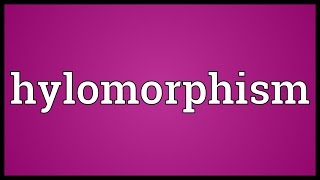 Hylomorphism Meaning [upl. by Hsak202]