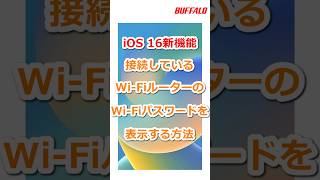 iOS 16新機能 WiFi パスワード確認方法 iPhone shorts [upl. by Wallache392]