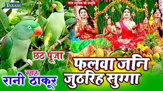 Chathh Pooja Geet 2024  पराम्परिक छठ पूजा गीत 2024  ChathhPuja Ke Gaana  Chathh Pooja Song 2024 [upl. by Hairabez302]