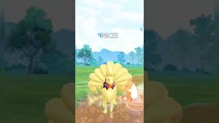 Dunsparce Ninetales amp Noctowl in Pokemon Go Summer Cup pokemongo 😱😱 [upl. by Oht]