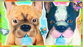 🐶 🐶 CUIDO a 2 PERRITOS GEMELOS 🍼 ¡CACHORROS BEBÉS van al VETERINARIO 🏥 [upl. by Dane22]