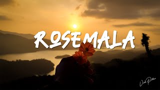 ROSEMALA CINEMATIC TRAVEL VLOG  THE REAL BEAUTY OF FOREST [upl. by Burdelle]