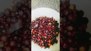 blackcurrants benifits it will provide vitamins antioxidants minerals and many other nutrients [upl. by Luht999]