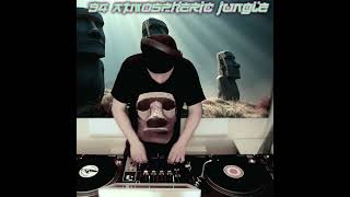 Atmospheric Jungle94 rarities jungledrumandbass jungledrumnbass vinyl intelligentjungle [upl. by Ebner]