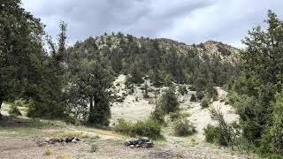 Ziarat Quetta ziarat quetta ziyarat beauty mountains sudia shortsvideo snow meadowstravel [upl. by Anirahc892]