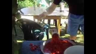 How to make Lutenitsa  Summer in Bulgaria 2011 [upl. by Acinorev]