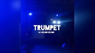 Dj Gelson Gelson  Trumpet Original Mix Afro House Production [upl. by Atnim]