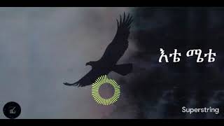 Teshome Miteku  Etemete with Lyrics እቴሜቴ [upl. by Harmonie]