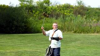 Birds of Prey show at Safari Niagara [upl. by Phonsa]