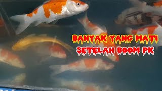 PART 2  BOM PK DIKOLAM FILTER IKAN KOI  BANYAK YANG TEWAS KARENA TELAT PENANGANAN [upl. by Schiffman]