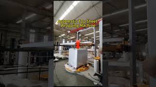 Top Sheet Pallet Wrapping Machine manufacturing dyehome [upl. by Ellezig]