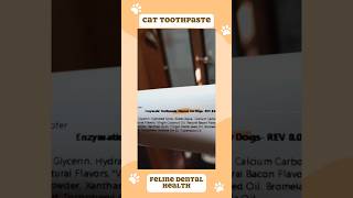 Feline Frenzy Cats Try Bacon amp Chicken Toothpaste for the First Time 🐈💦 [upl. by Demha]