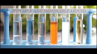 Experiment on Miscible and immiscible liquids [upl. by Ellan]