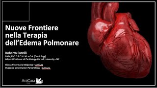 Nuove frontiere nella terapia delledema polmonare [upl. by O'Grady]