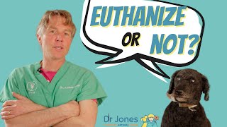 Problems With Euthanasia [upl. by Woolley168]