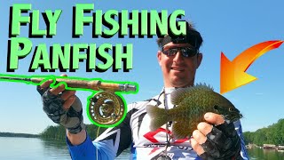 Fly Fishing Panfish  How to catch big bluegills on the Fly in Wisconsin  Tips amp Techniques [upl. by Ledairam]