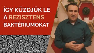 Így küzdjük le a rezisztens baktériumokat [upl. by Mccreary]