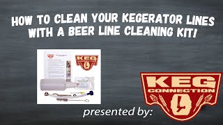 How to Clean Your Kegerators Beer Lines [upl. by Gaul]