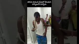 కరిసిన పాముని మేడలో వేసుకుని వచ్చేడు Wearing a bitten snake around the neck came to the hospital [upl. by Ttsepmet]