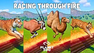 Tiger Tapir Camel Lynx Gemsbok  Planet Zoo Animals Race in Fire Map [upl. by Marcellus]