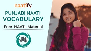 NAATI CCL Punjabi  VOCABULARY  Naatify 1 [upl. by Eimile]