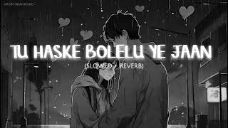 TU HASKE BOLELU YE JAAN SLOWED  REVERB SONG  slowedandreverb bhojpurisong lofi song [upl. by Megen]