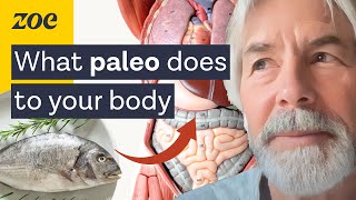 Does the paleo diet hold the secret to health  ZOE Dailies with Christopher Gardner [upl. by Herates]