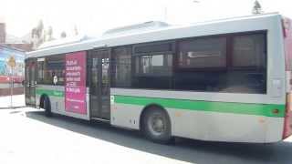 Buses of Transperth in Fremantle WA [upl. by Amsden]