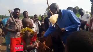 CIRCUMCISION CHAMPIONS LUHYA CIRCUMCION AFRICA CIRCUMCISION SONG [upl. by Schoenberg]