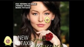 Remix Potaxie  Esa Hembra Es Mala Official Audio [upl. by Orfurd]