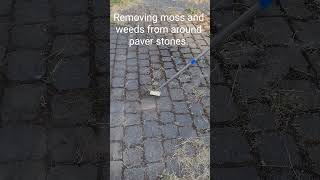 Crevice weeding tool working around pavers homeimprovement httpsamznto46dfIhT [upl. by Airretal]