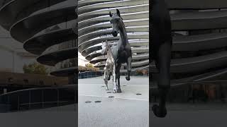 EXPO CITY DUBAI TOURPART 3trending rap music travel dubai dubailifestylevlog vlogslove [upl. by Aver]