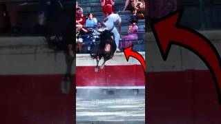 Arènes de Sommieres France 310724 toros bullfight2024 tốbravos shorts [upl. by Er]