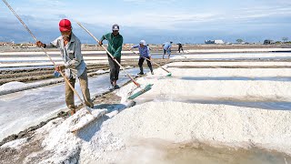 India’s Cheapest Technique to Produce Massive Tons of Salt Every Year [upl. by Eidnim5]