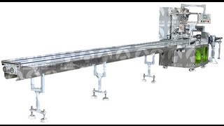 Fully Automatic Horizontal Flow Wrap Machine [upl. by Nenad]