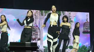 231011 에볼루션Evolution Rhodanthe 4K60p 직캠fancam showcase 예스24홀 [upl. by Aikmat]