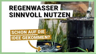 Regenwasser sammeln und im Garten SINNVOLL nutzen [upl. by Naek76]