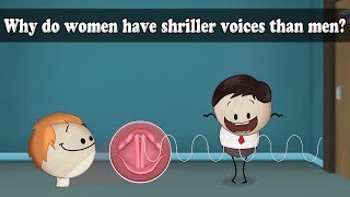 Frequency  Why do women have shriller voices than men  aumsum kids science [upl. by Evangelina]