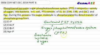 Phosphoenol pyruvate sugar phosphotransferase system PTS transports a variety of sugars into bact [upl. by Kcirddor651]